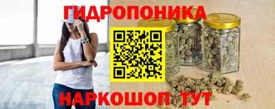 гидра Гусев