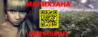 гидра Гусев