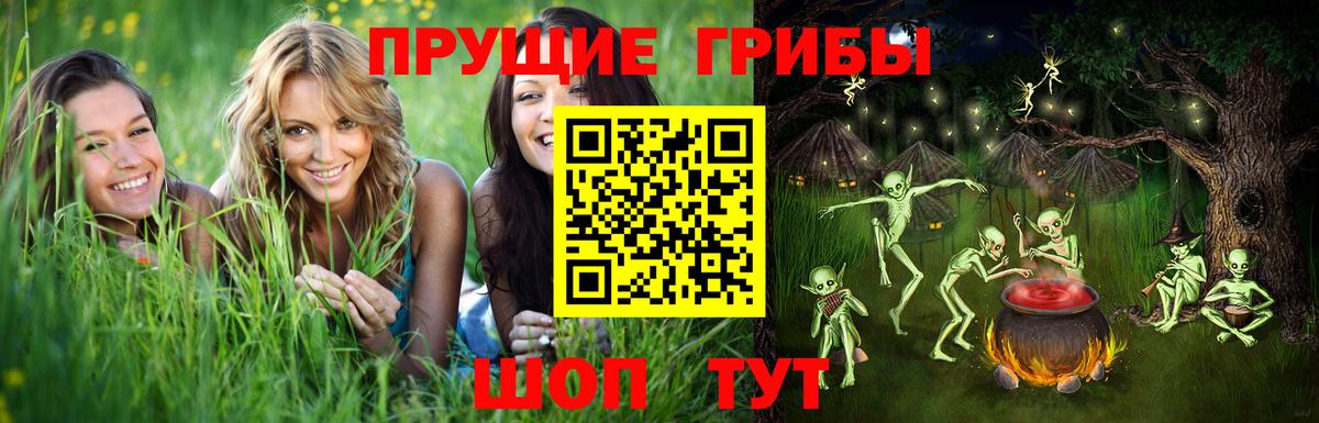 Галлюциногенные грибы GOLDEN TEACHER Новочеркасск